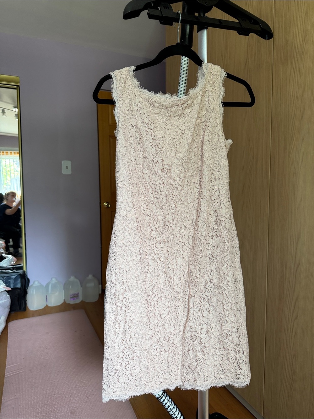 Adrianna Papell Pale Pink Sleeveless Lace Midi Dress